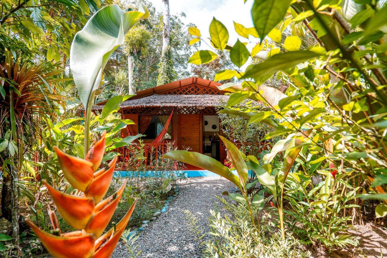 Casitas Las Flores Puerto Viejo de Talamanca Eksteriør bilde
