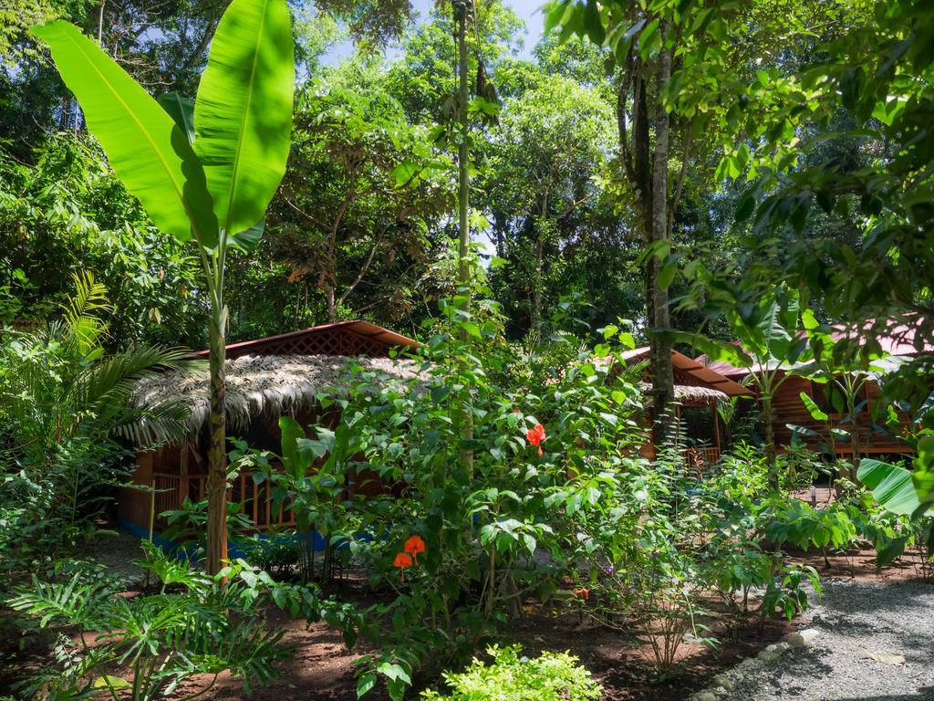 Casitas Las Flores Puerto Viejo de Talamanca Eksteriør bilde