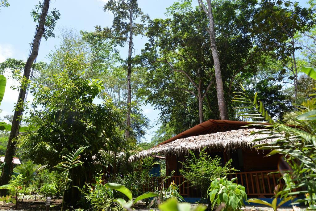 Casitas Las Flores Puerto Viejo de Talamanca Eksteriør bilde