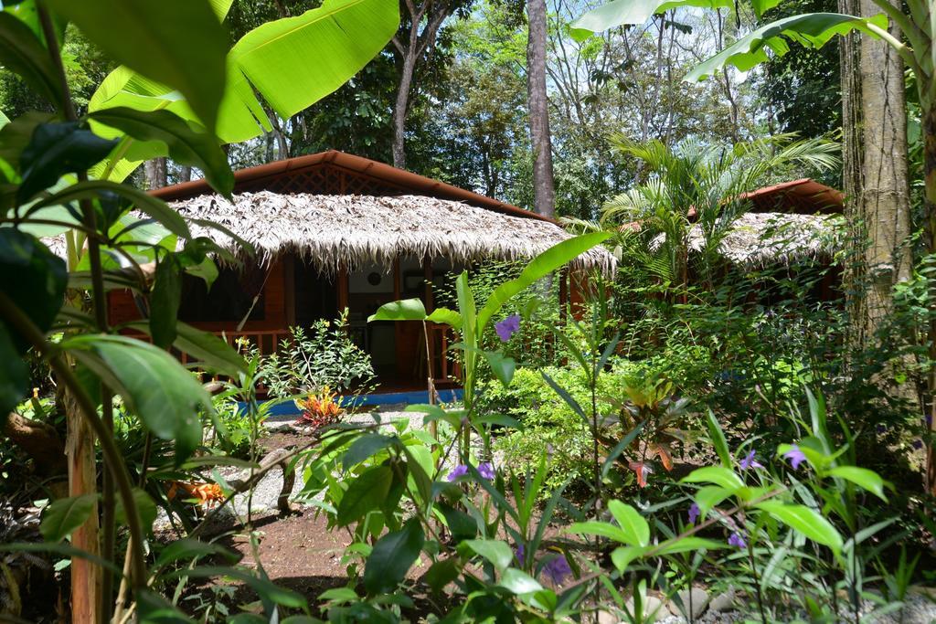 Casitas Las Flores Puerto Viejo de Talamanca Eksteriør bilde