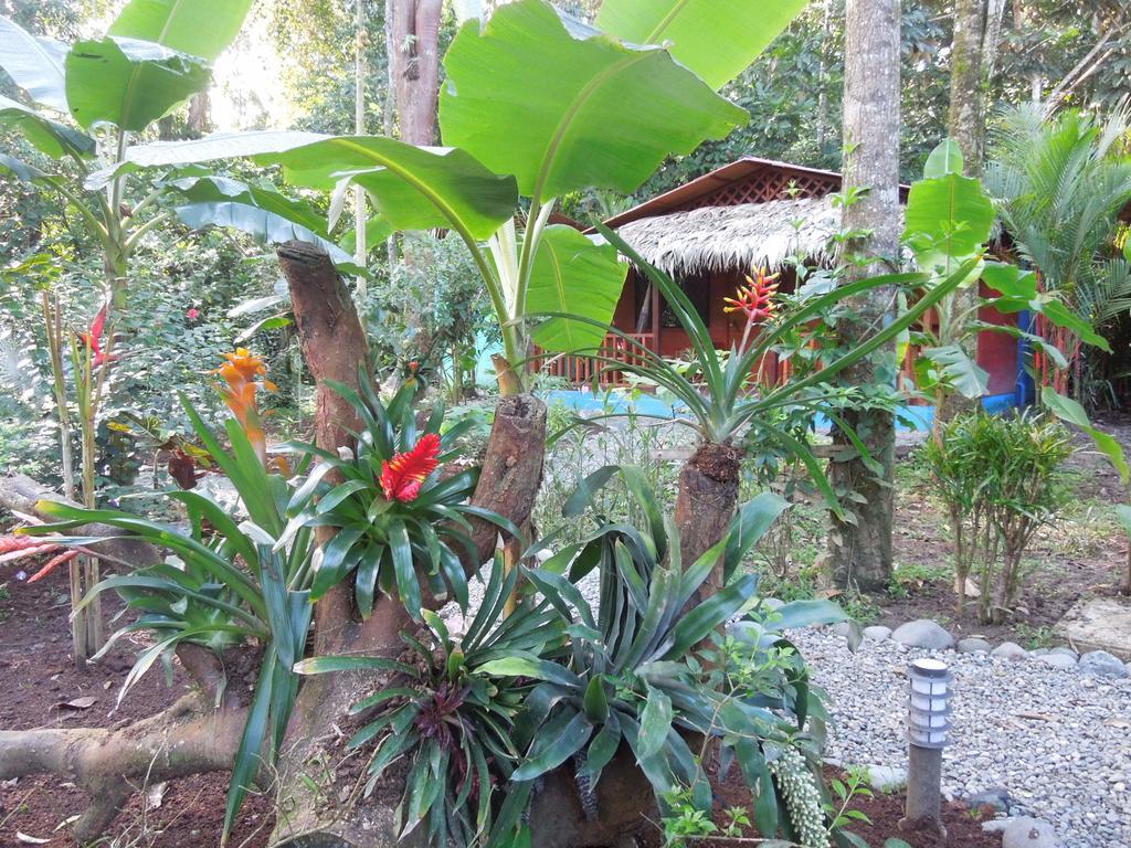 Casitas Las Flores Puerto Viejo de Talamanca Eksteriør bilde