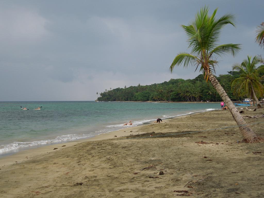 Casitas Las Flores Puerto Viejo de Talamanca Eksteriør bilde